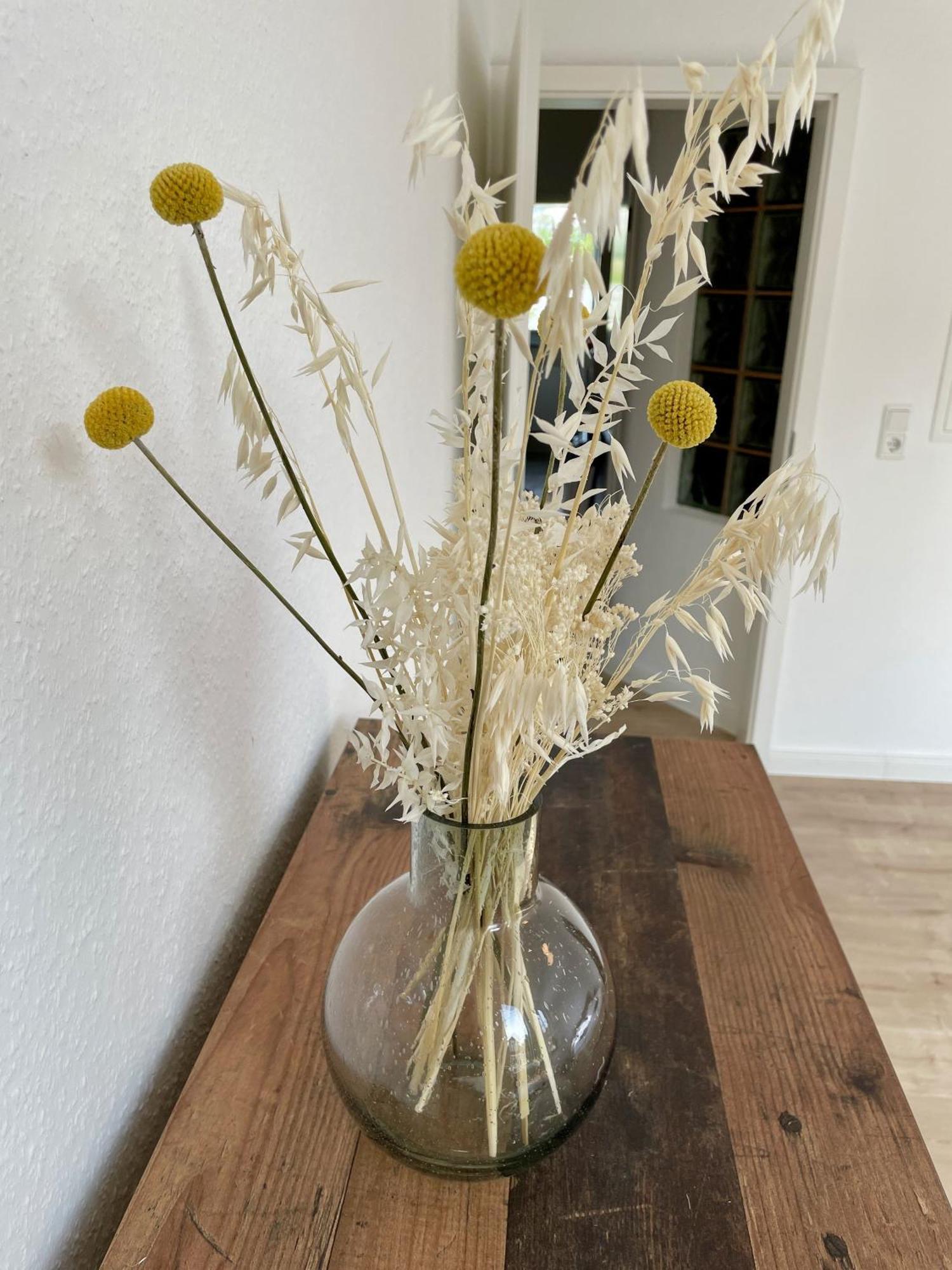Apartamento Bright Elzer Strasse Hildesheim Exterior foto